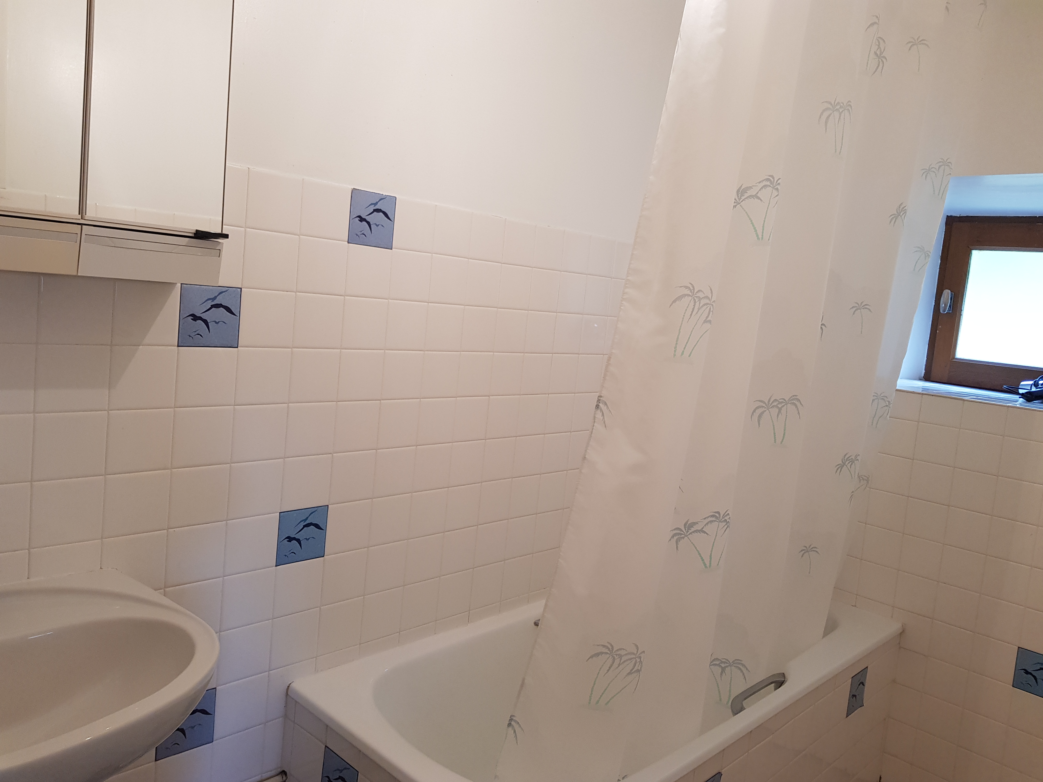 Salle de Bain avec rideau de douche