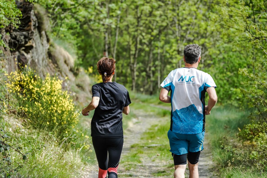 Traileurs en forêt, au milieu des genêts_1
