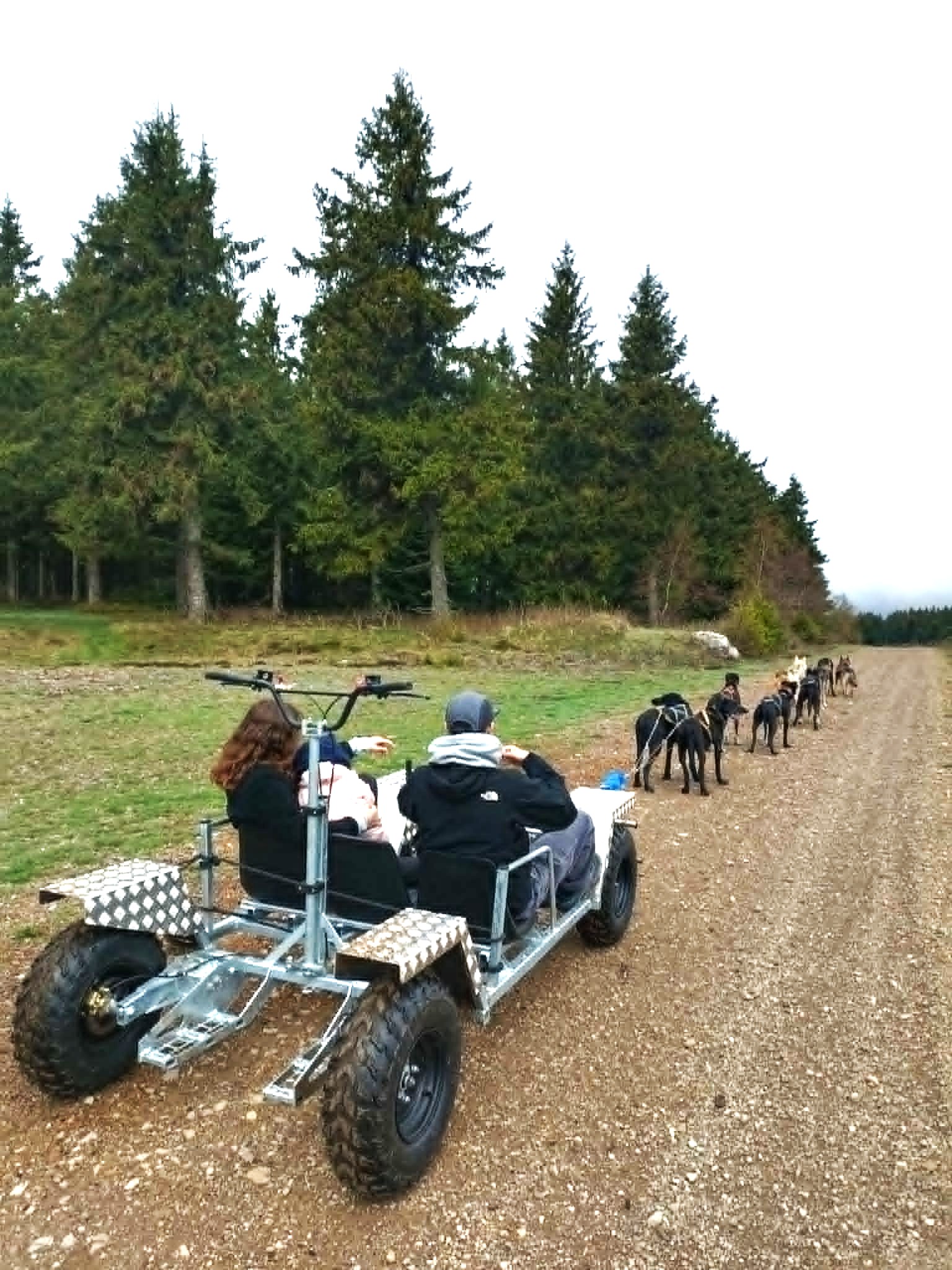 Cani Kart