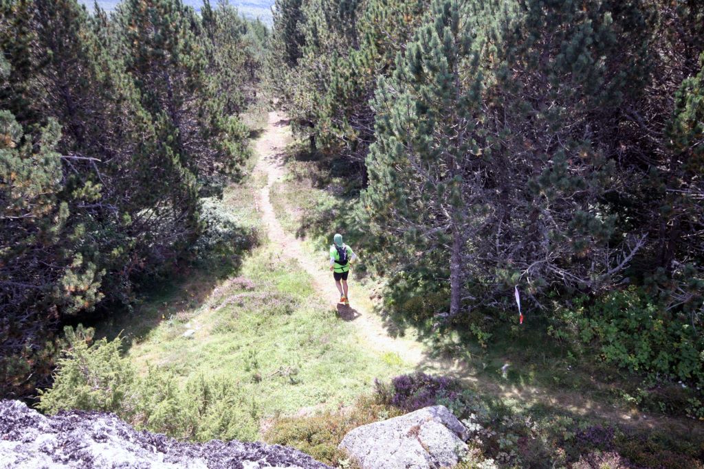 Traileur en descente_1