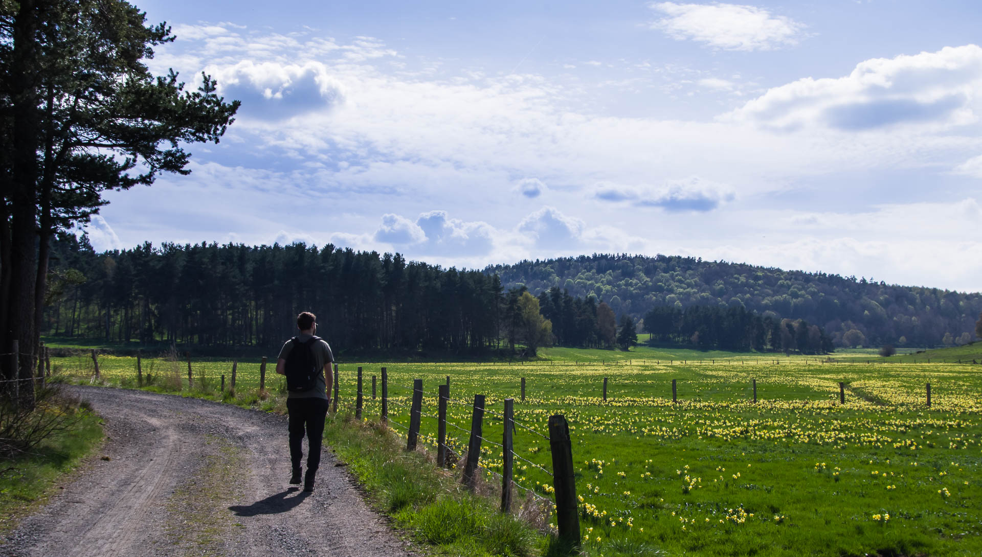 Sur les chemins_1