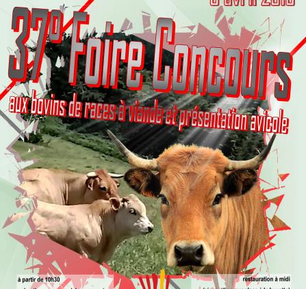 Foire Concours