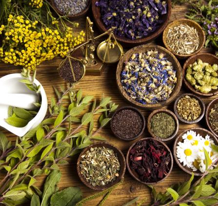 Plantes Alimentaires
