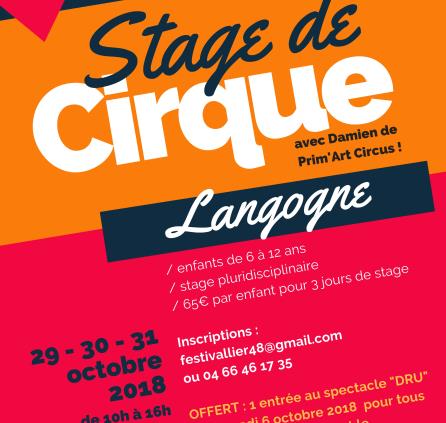 Stage de Cirque