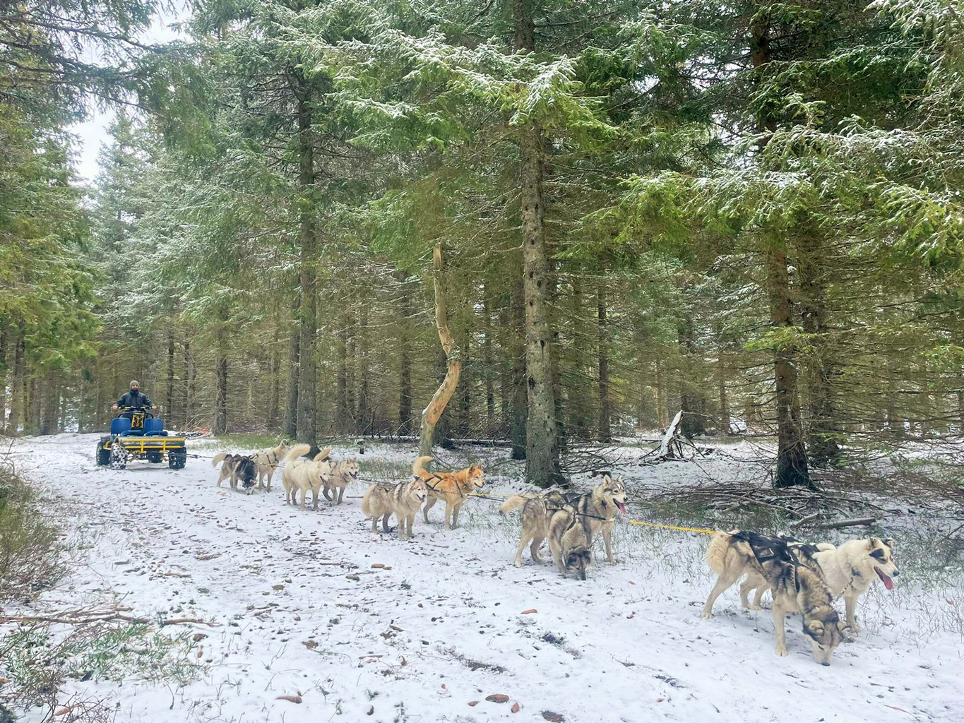 Kart sur neige