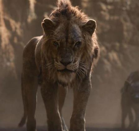le roi lion