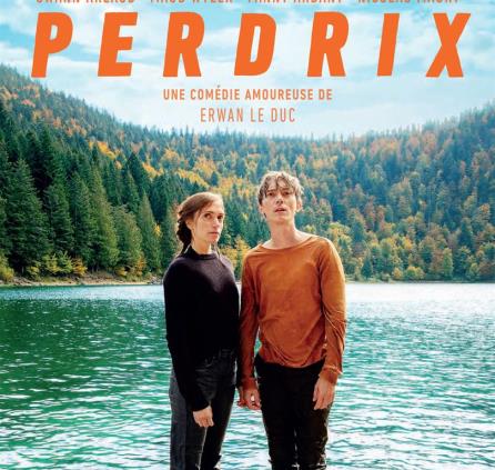Perdrix