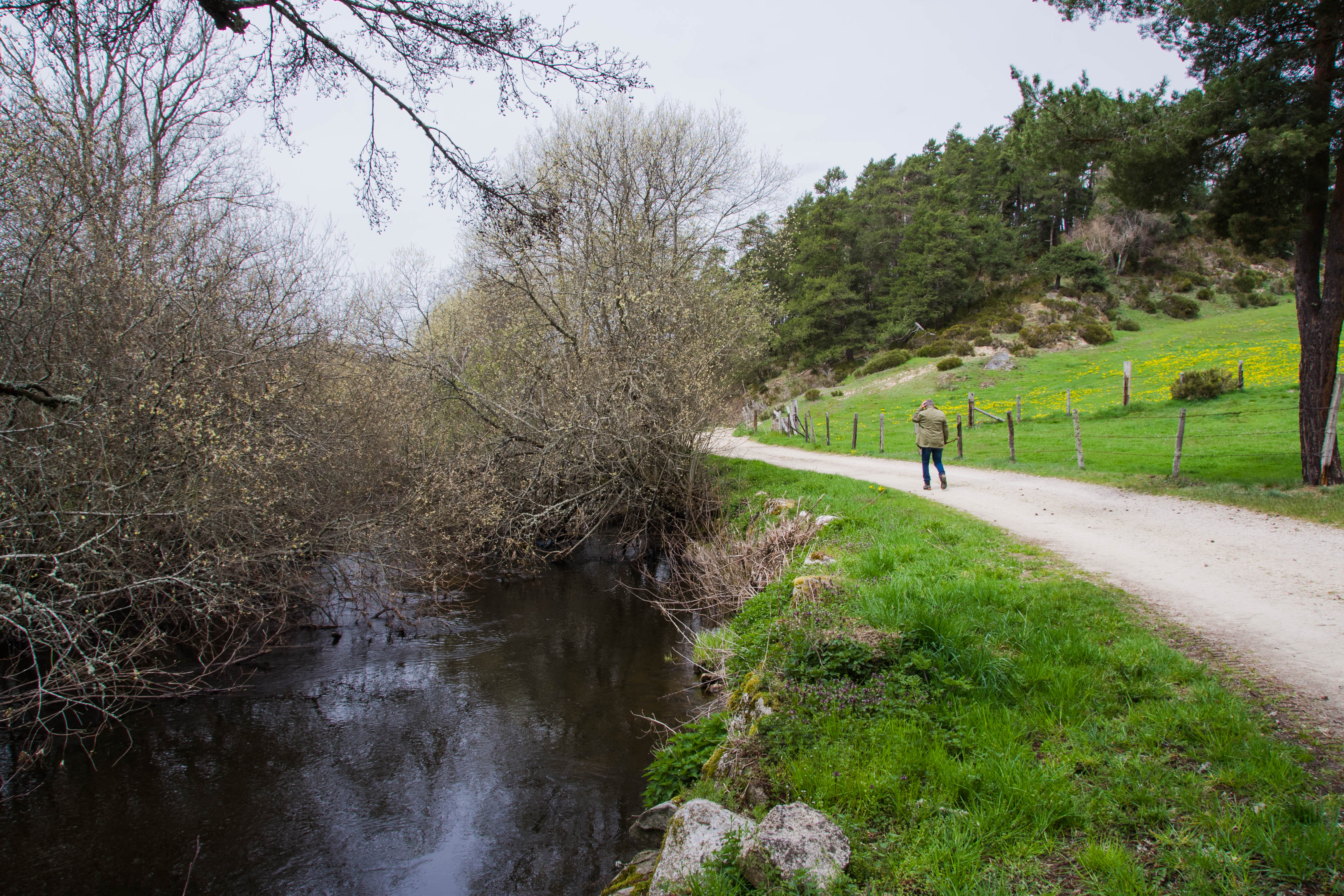 Les berges de la Truyère_1