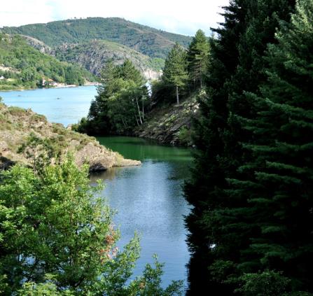 LES PLANTES DU LAC DE VILLEFORT