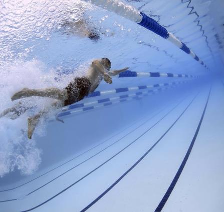 swimmers-79592_1280