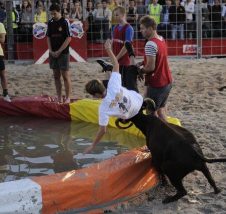Toro Piscine