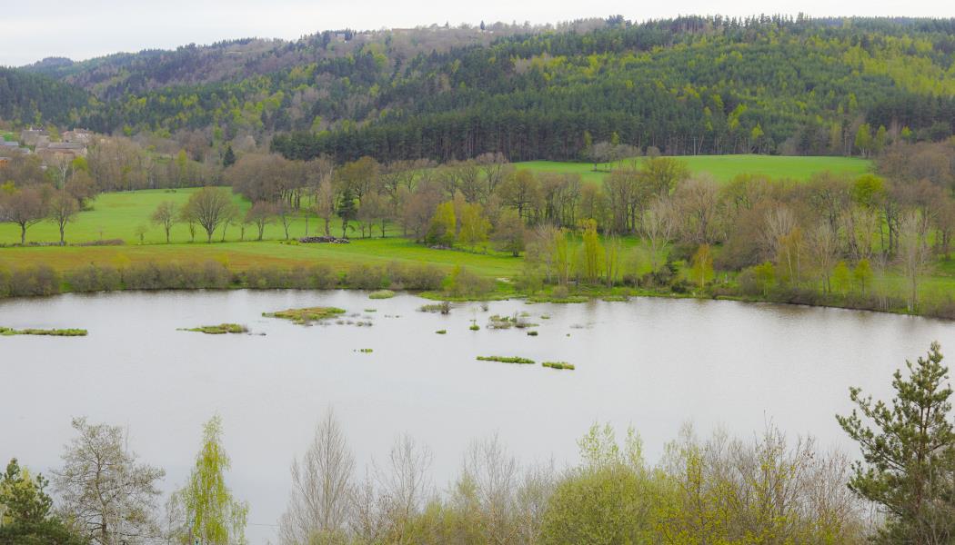 L'étang de la Chazette