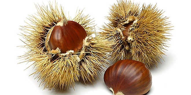 LA FOUON DEL POUS, Ventalon en Cévennes - photo 7