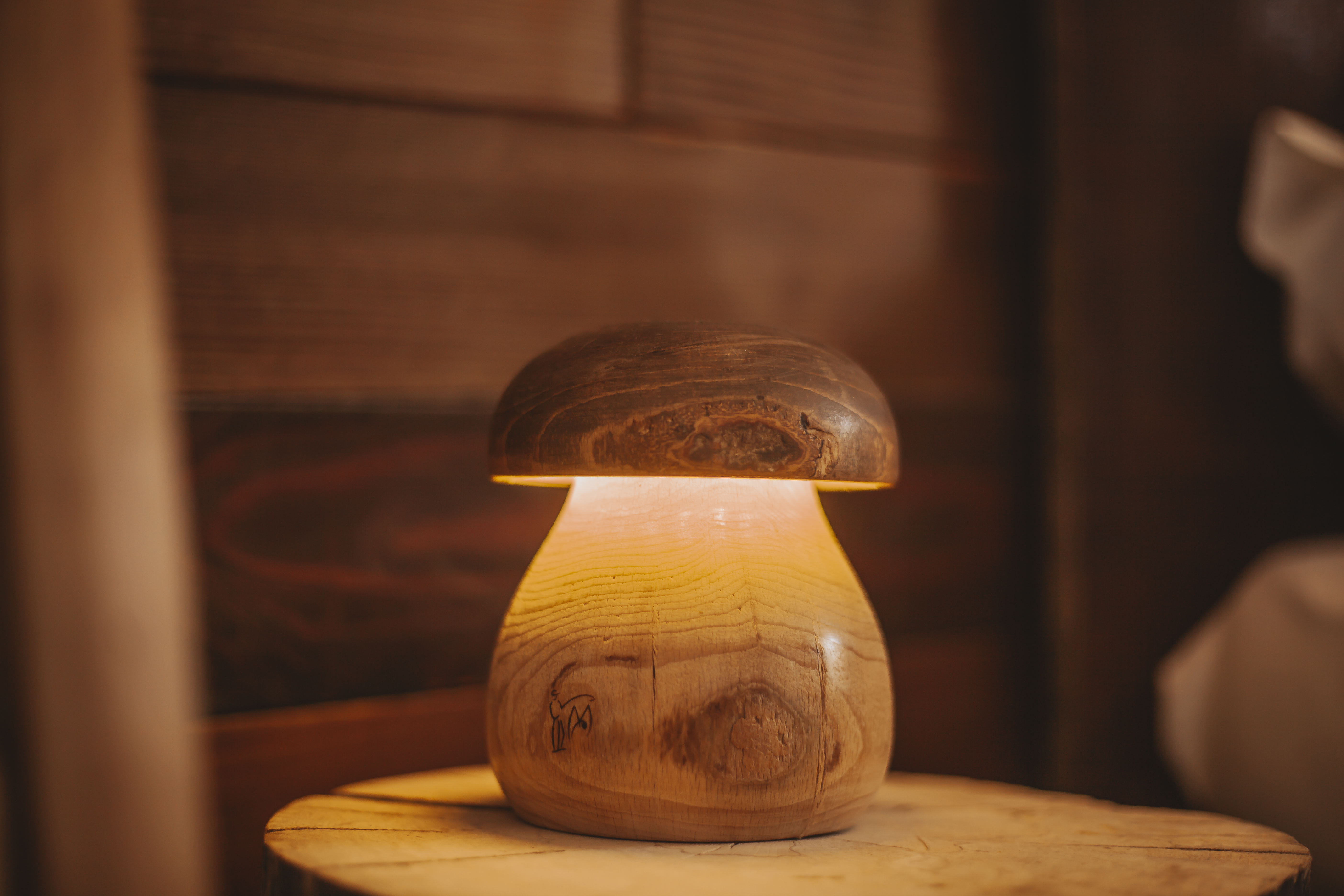 LES GÎTES DE LA BOLETIÈRE : LE GRANRUE, Saint-Étienne-du-Valdonnez - photo 10