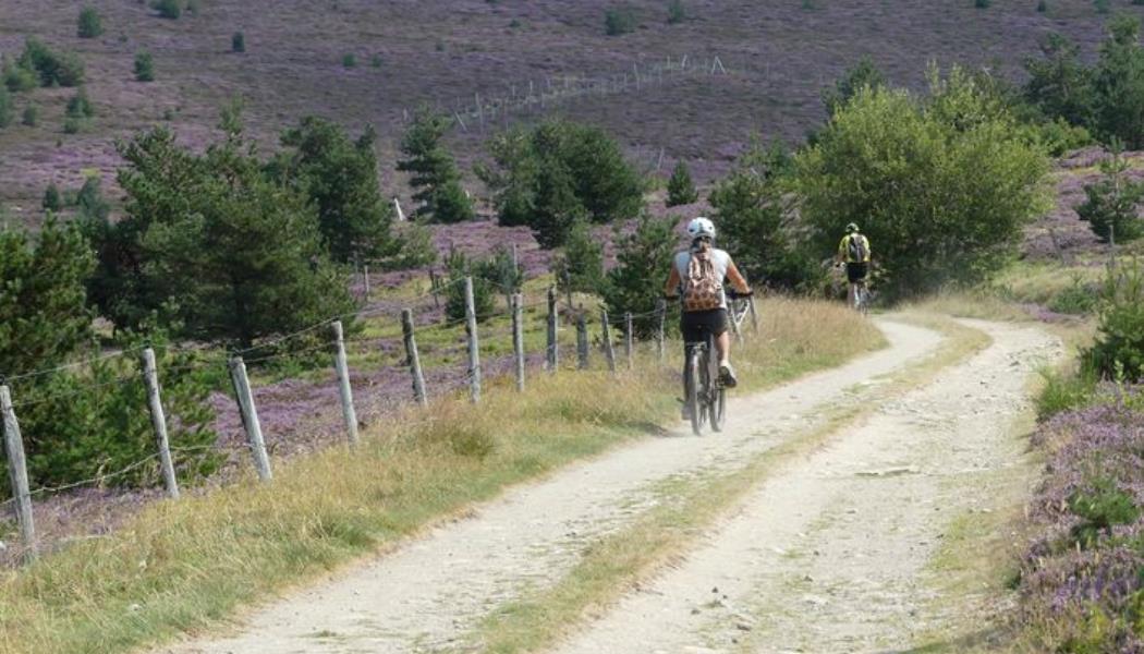 Vtt route et discount chemin