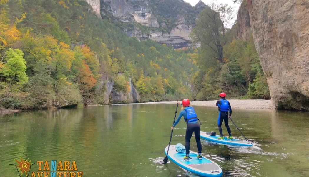 028-stage-riviere-stand-up-paddle-tanara-aventure