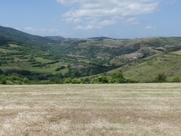 Causse de la Volte