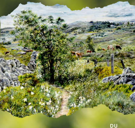 Affiche Fragrances printanières sur l'Aubrac - 1