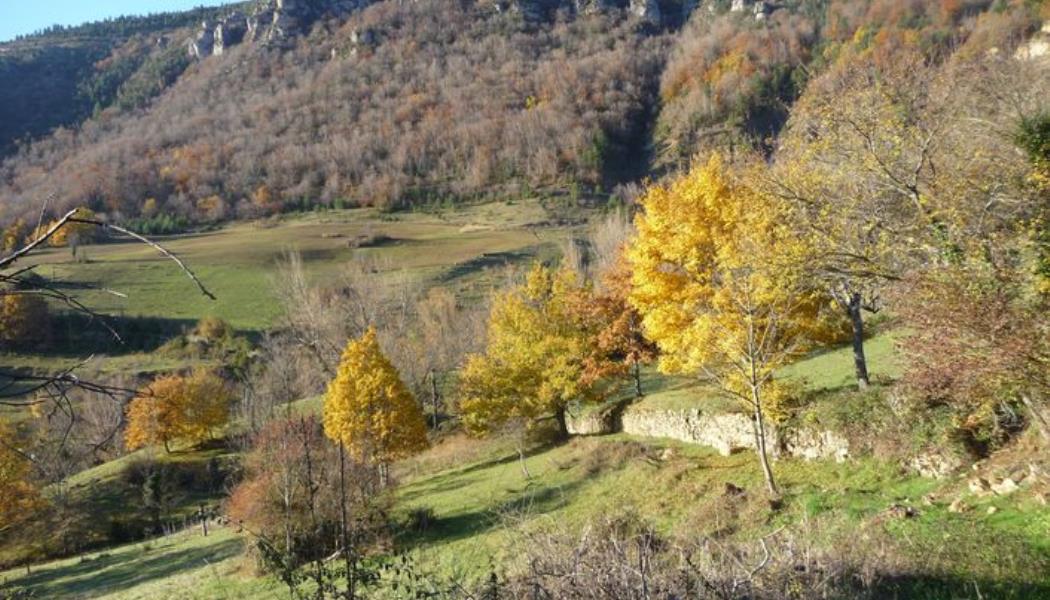 Monteils_2