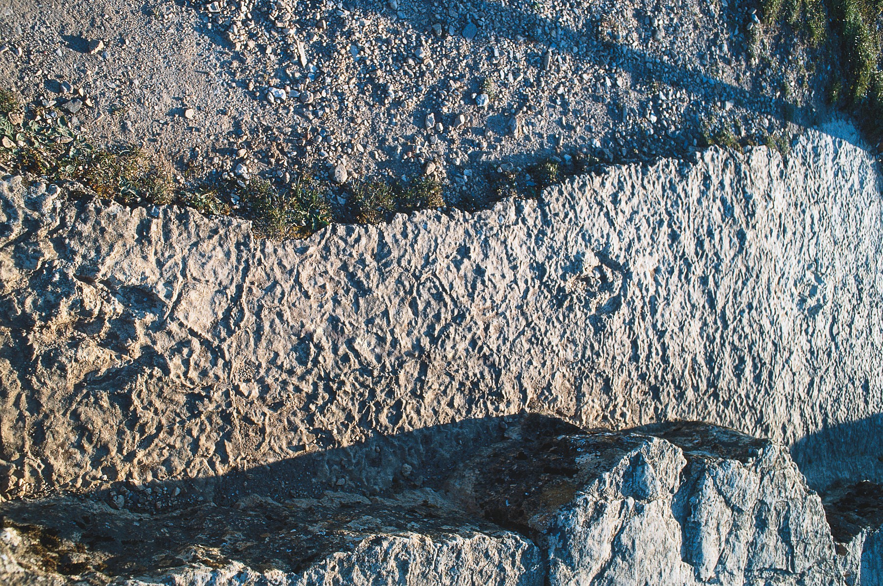 TRACES DE DINOSAURE - photo 2