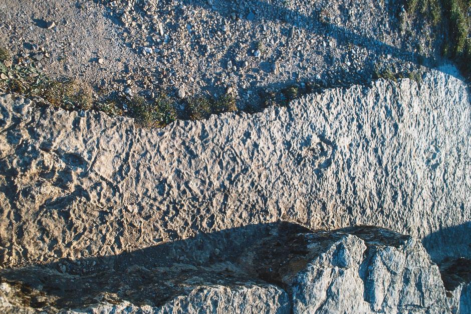 05098_A6┬®GREGOIRE Guy _ PNC 