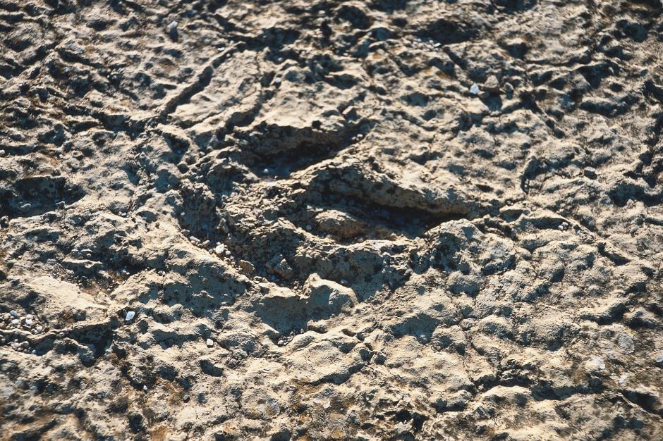 05850_A6┬®GREGOIRE Guy _ PNC 