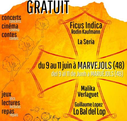 Affiches Fest'Oc - Affiche fest'oc_validée