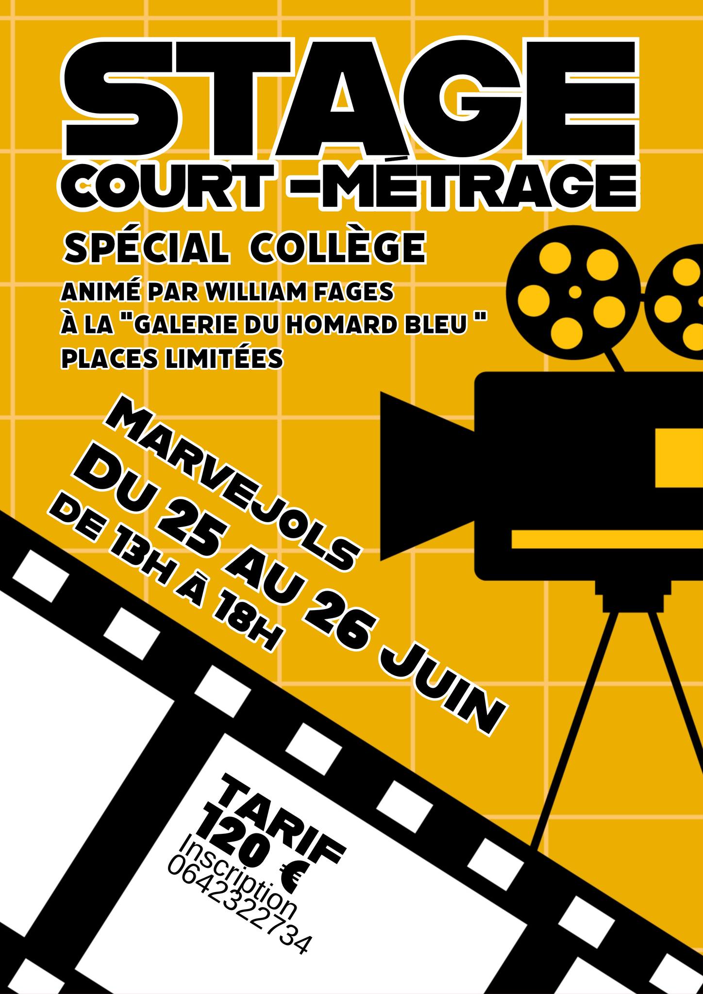 STAGE COURT-MÉTRAGE