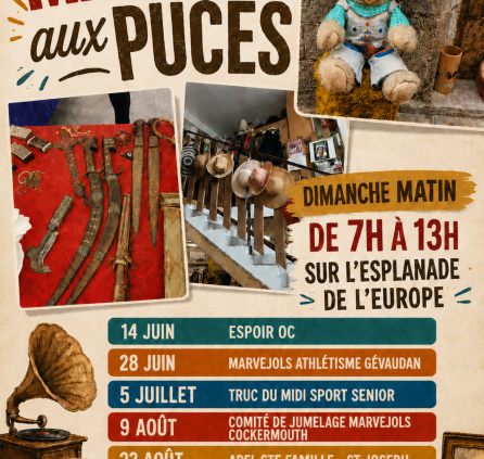 Design sans titre - 1