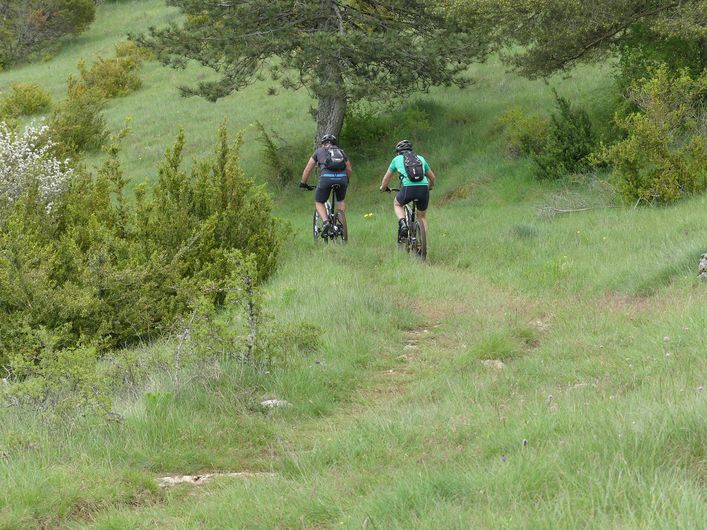 Sauveterre - VTT n°1