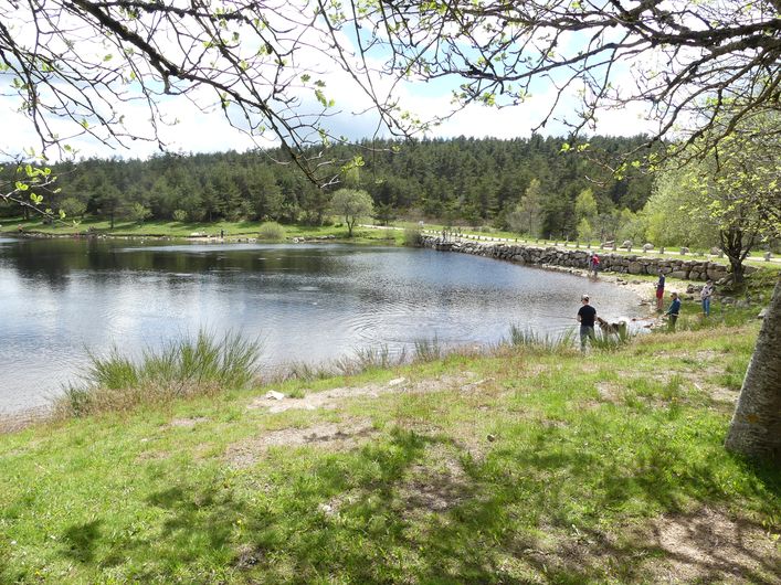 Etang de Barrandon - Trail n°12