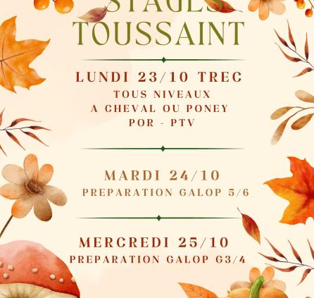 10 stage toussaint