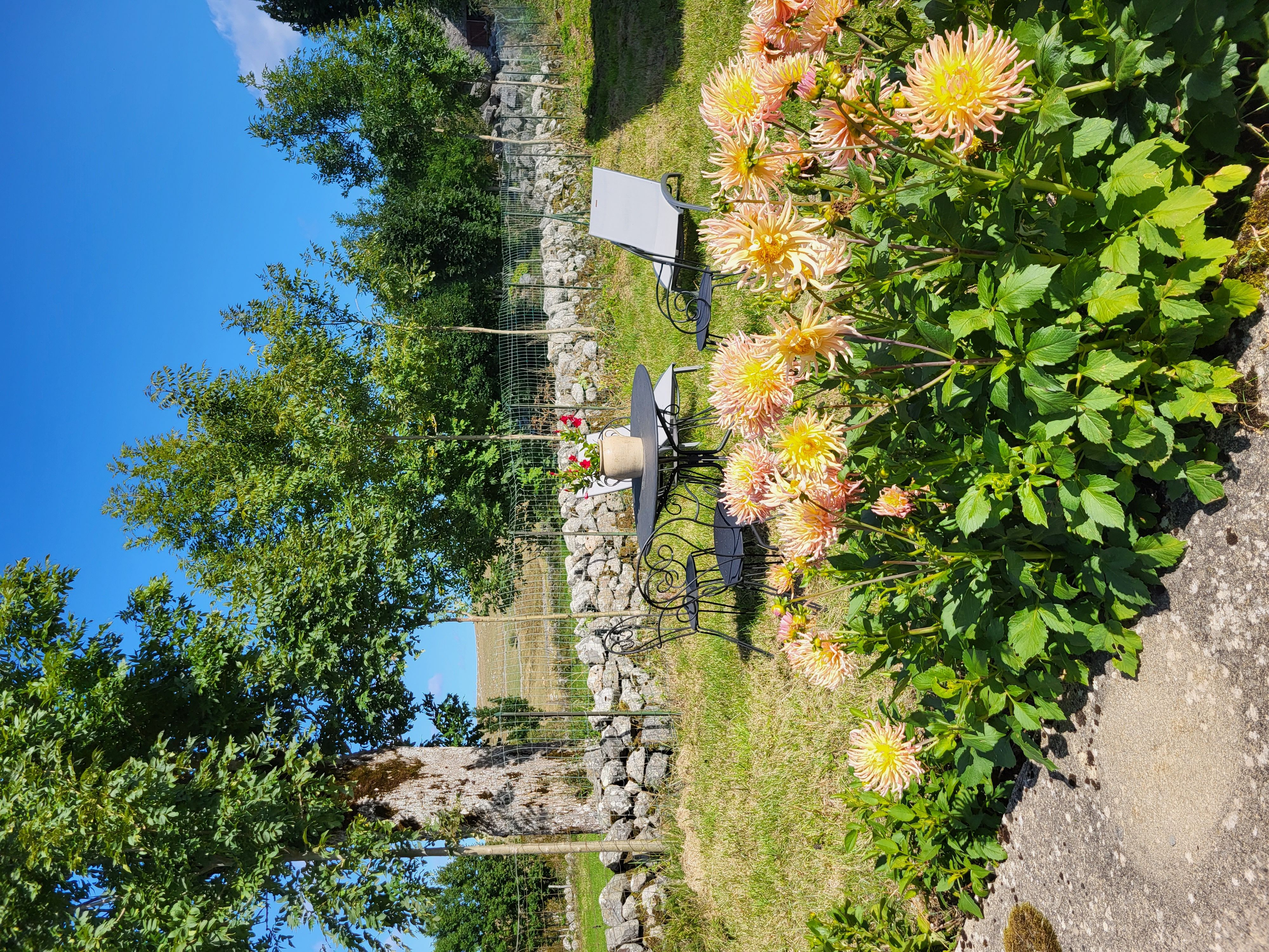 UNE PAUSE EN AUBRAC, Marchastel - photo 9