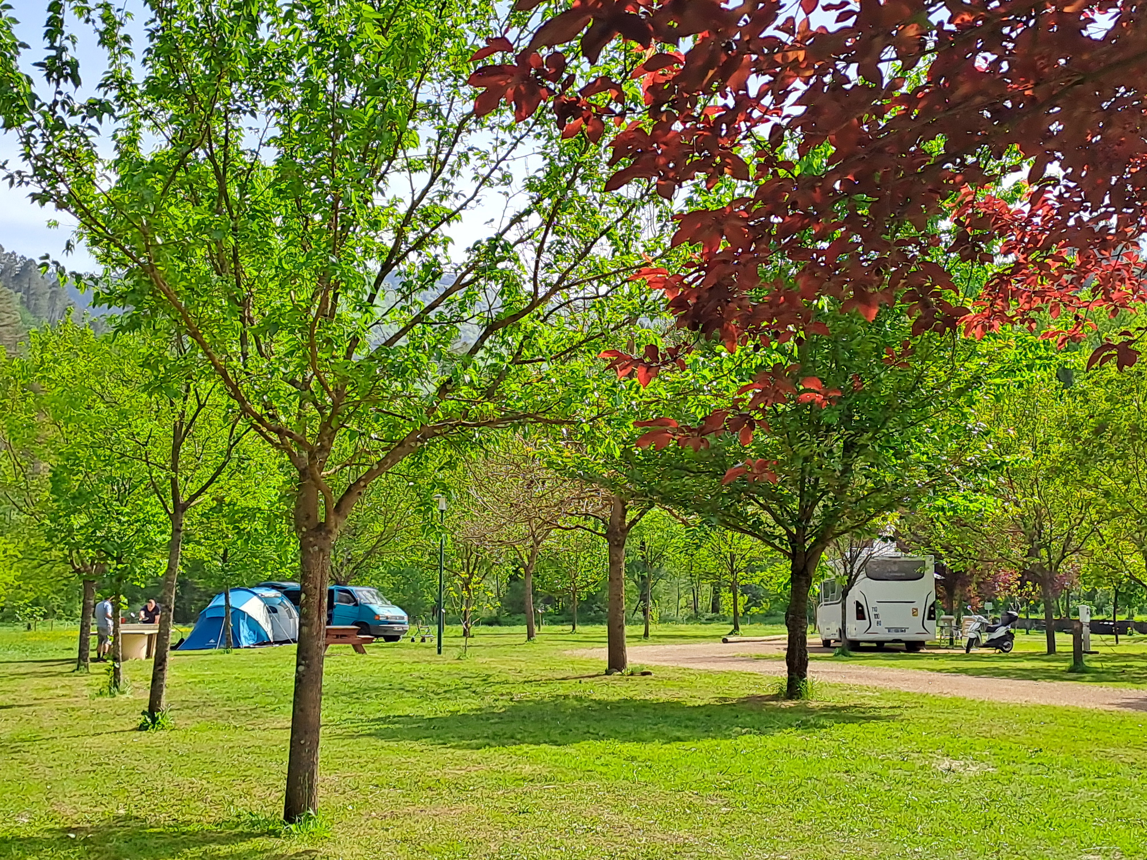 CAMPING SOUS LES ETOILES, Le Collet-de-Dèze - photo 4