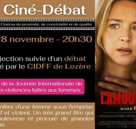 11-28_ciné débat