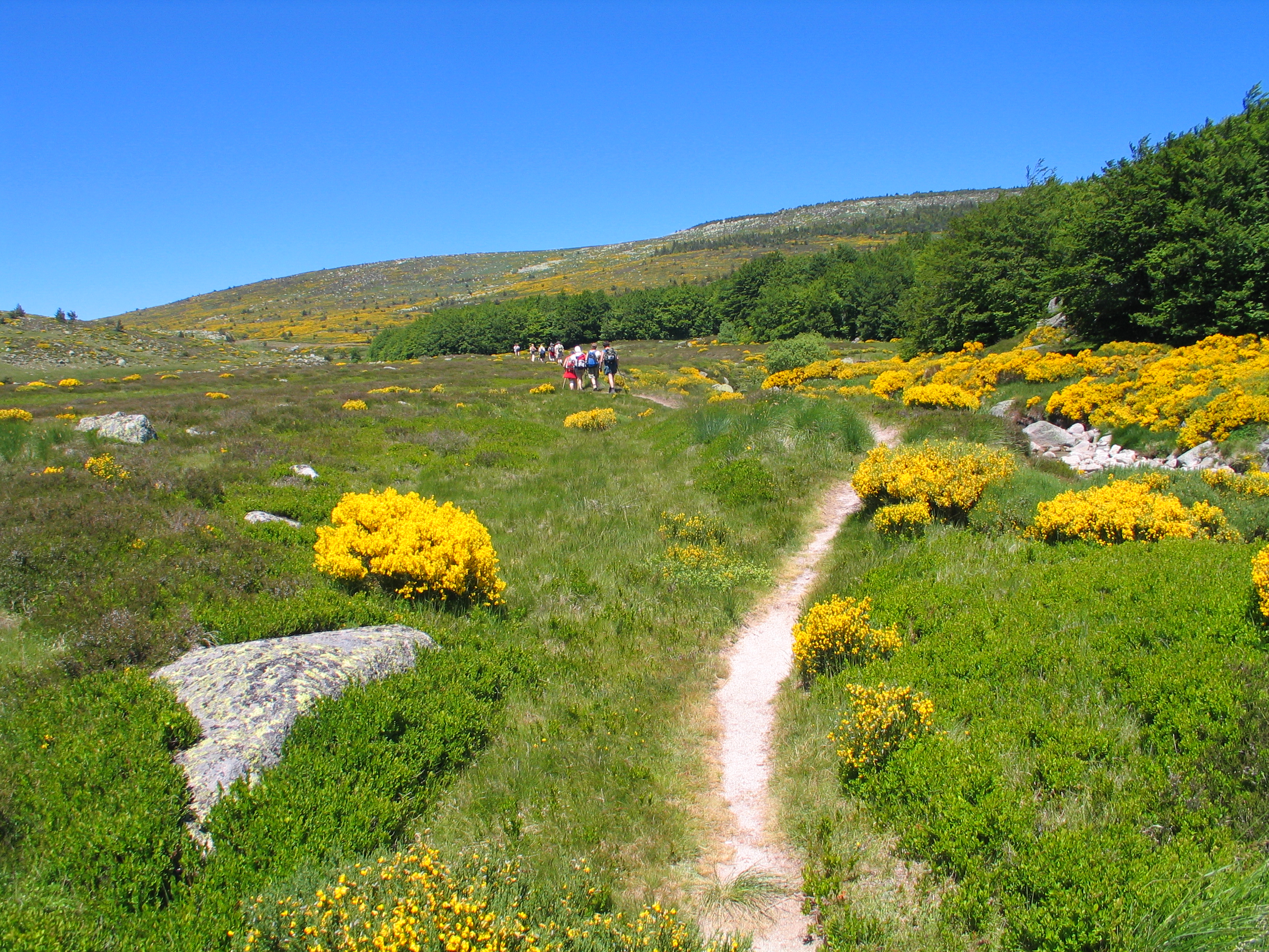 LES CHEMINS FRANCIS, Mont Lozère et Goulet - photo 6