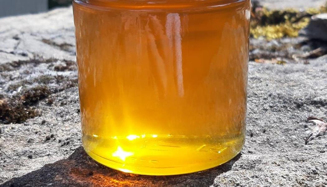 Photo de notre miel dominante Tilleul d'Aubrac pot de 300g 
