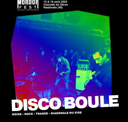 Disco Boule