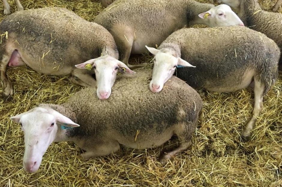 148291267_271607934384226_6929503471019577166_n 