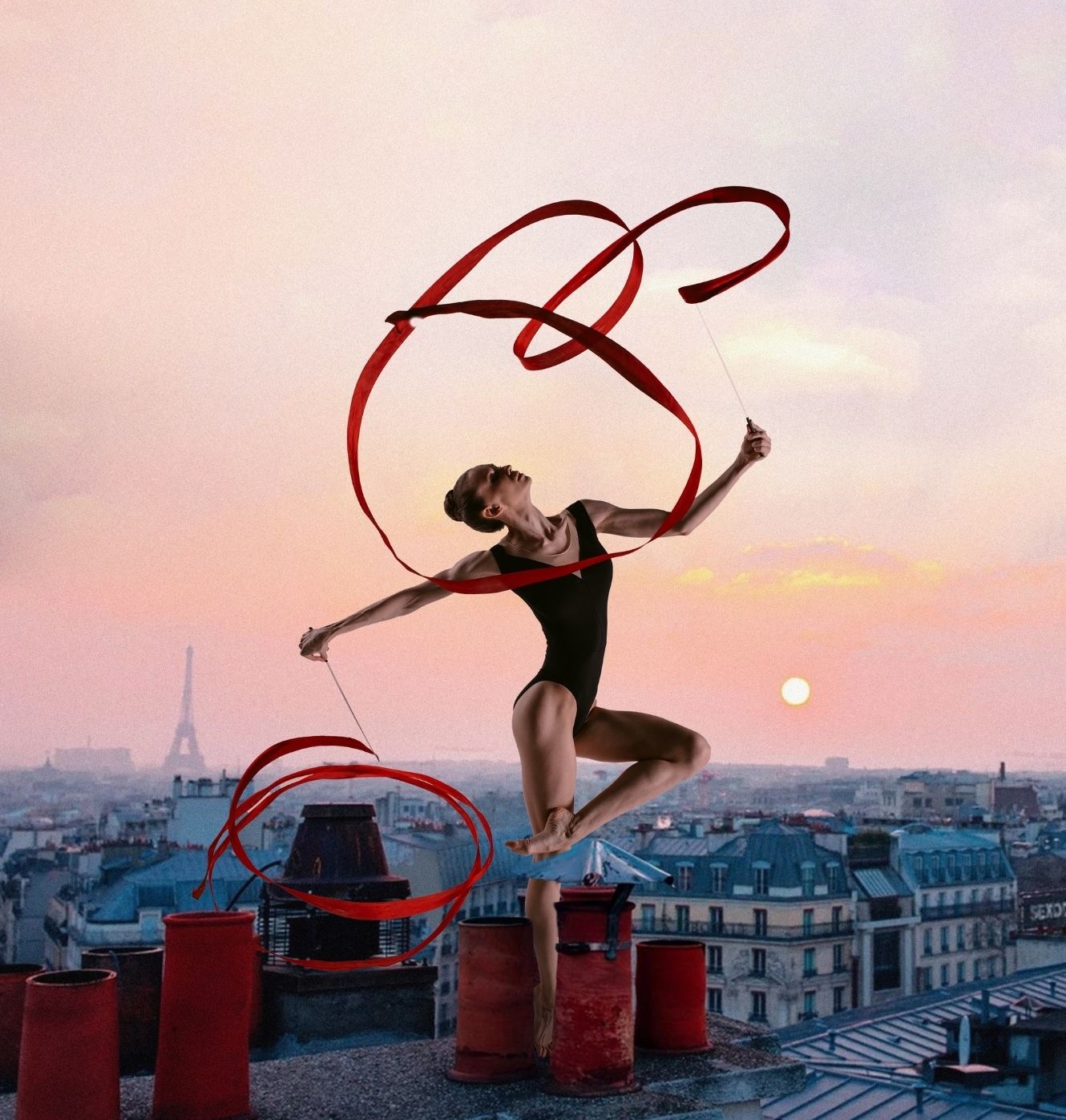 TERRE DE JEUX - 2024, LES TOITS DE PARIS EN SEINE