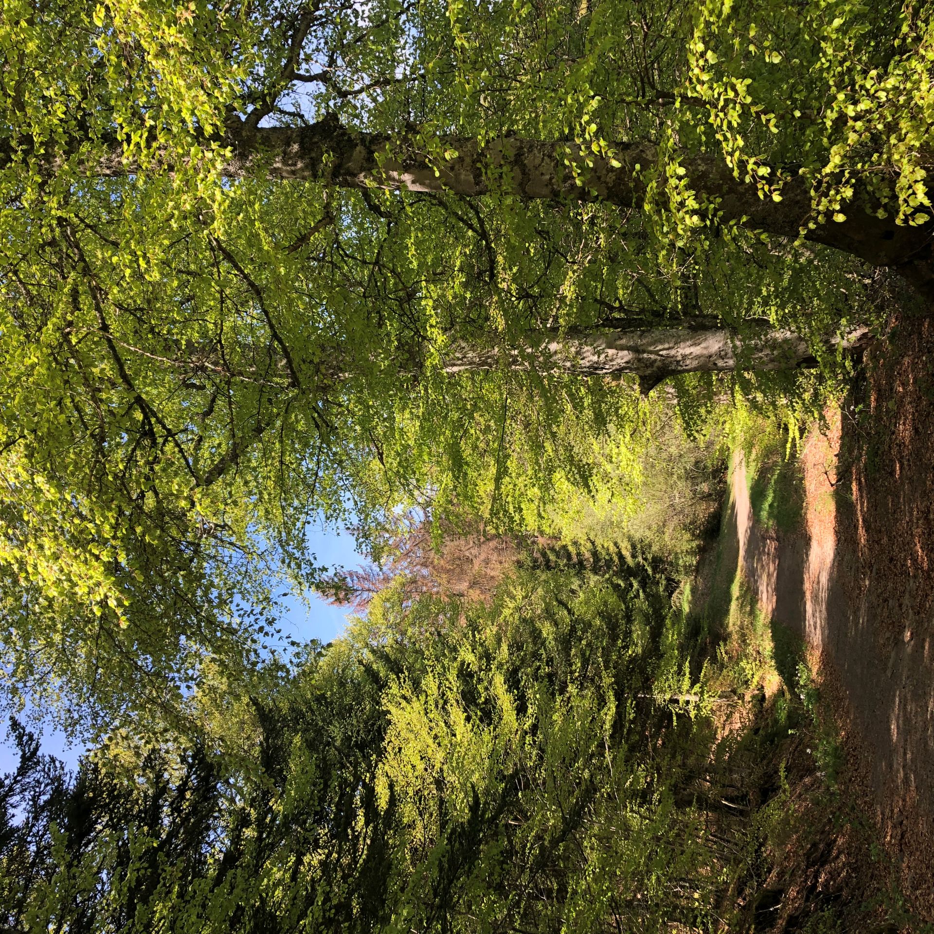 Le Fer à Cheval - Trail n°41