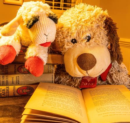 classic-books