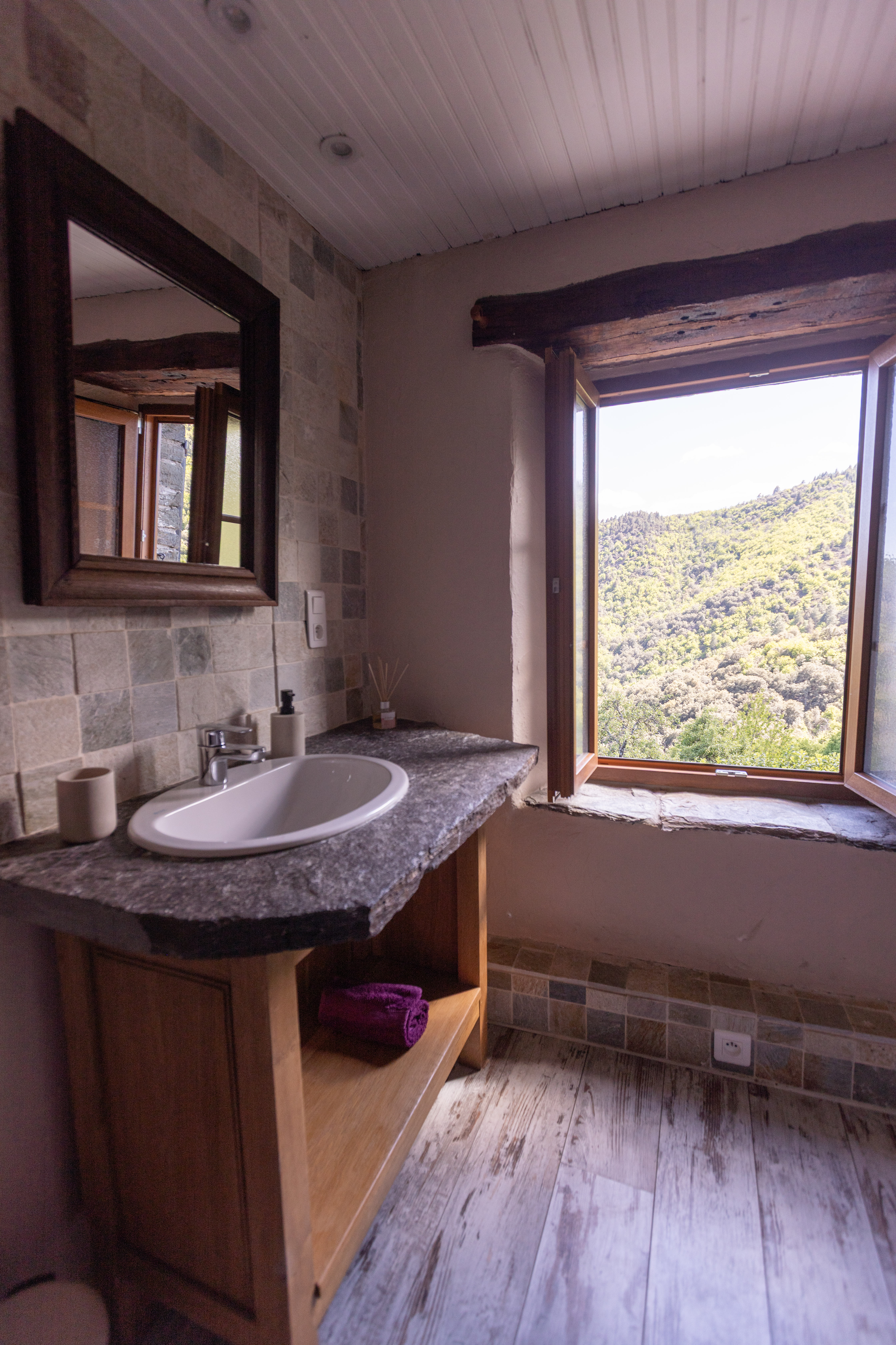 LES HÔTES DU CHÂTAIGNIER, Ventalon en Cévennes - photo 6