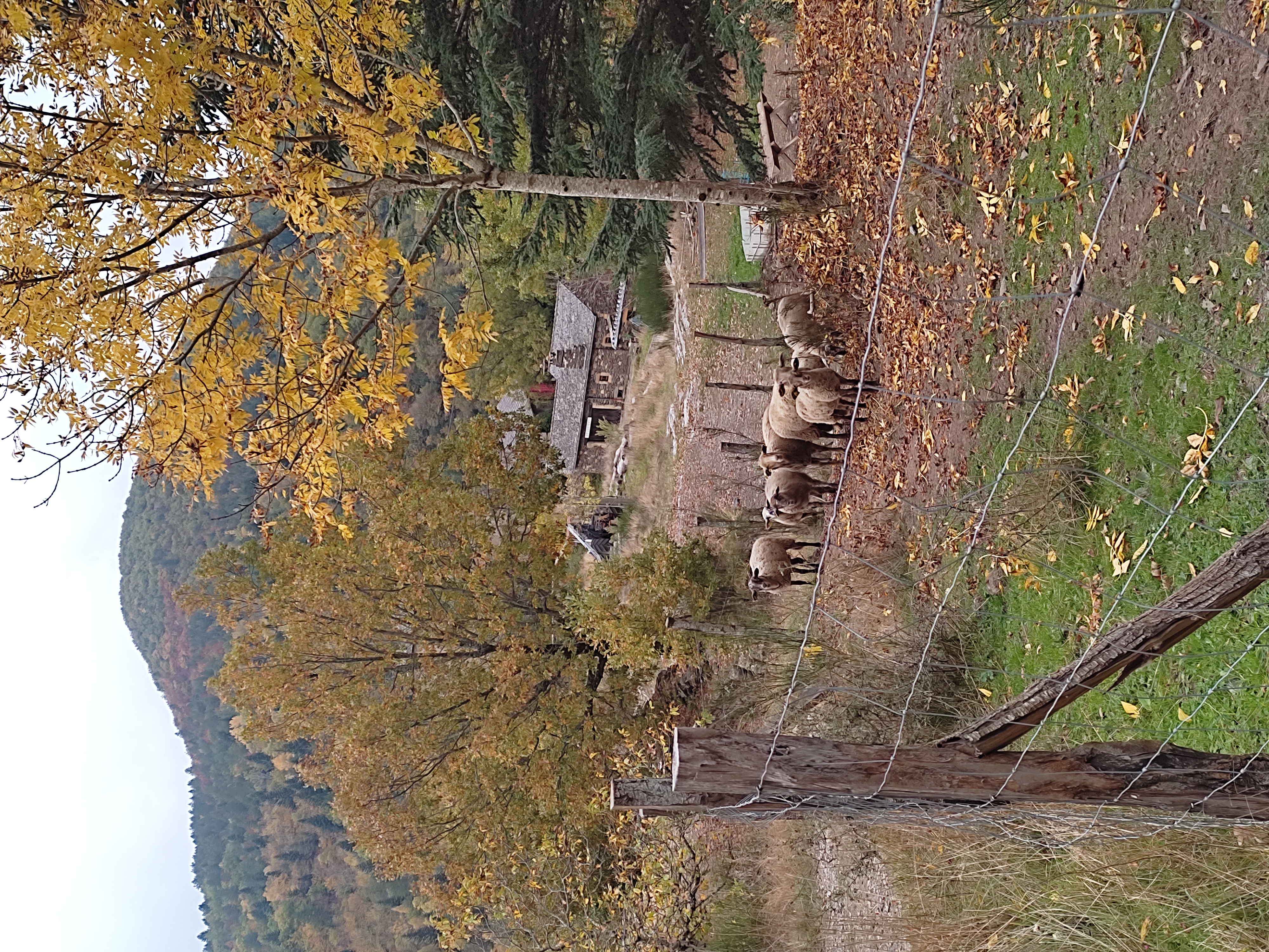 MAISON EMILE TEISSIER, Vebron - photo 38