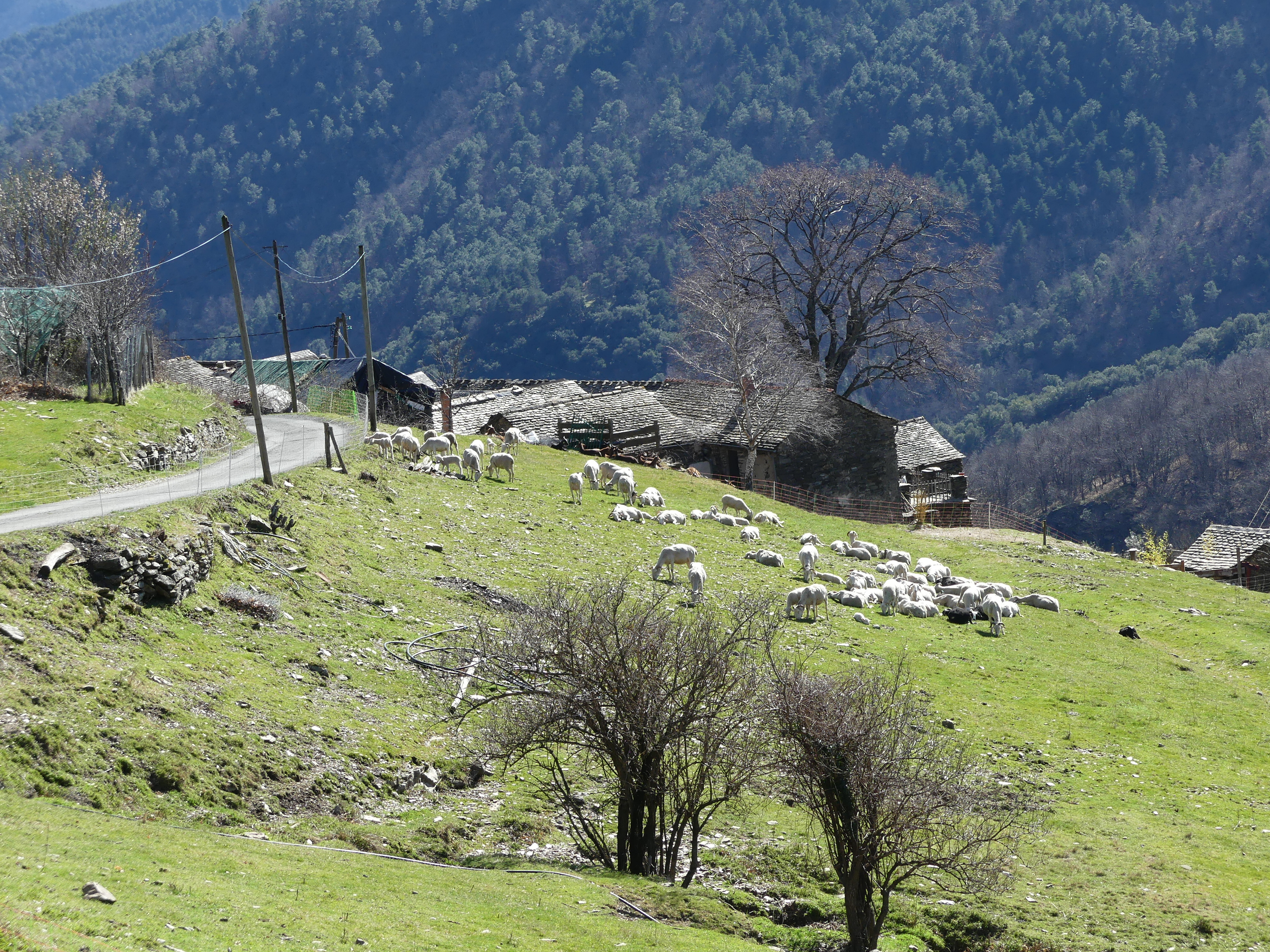 Le moulin
