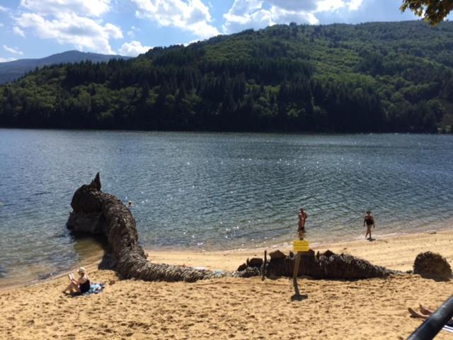 LA CHATIÈRE, Villefort - photo 10