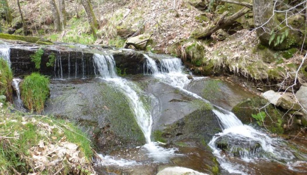 Cours d'eau au dessus du moulin_2