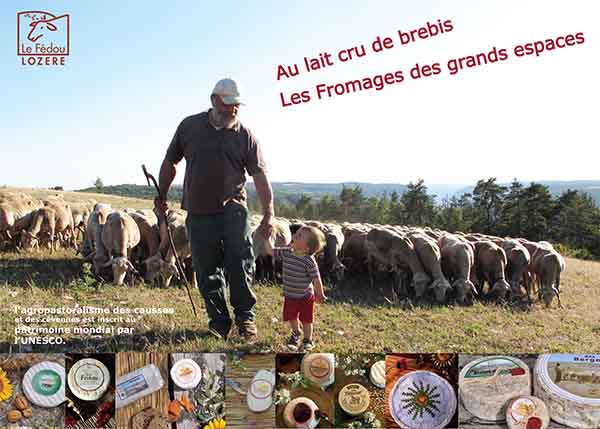 FROMAGERIE DE HYELZAS LE FEDOU null France null null null null