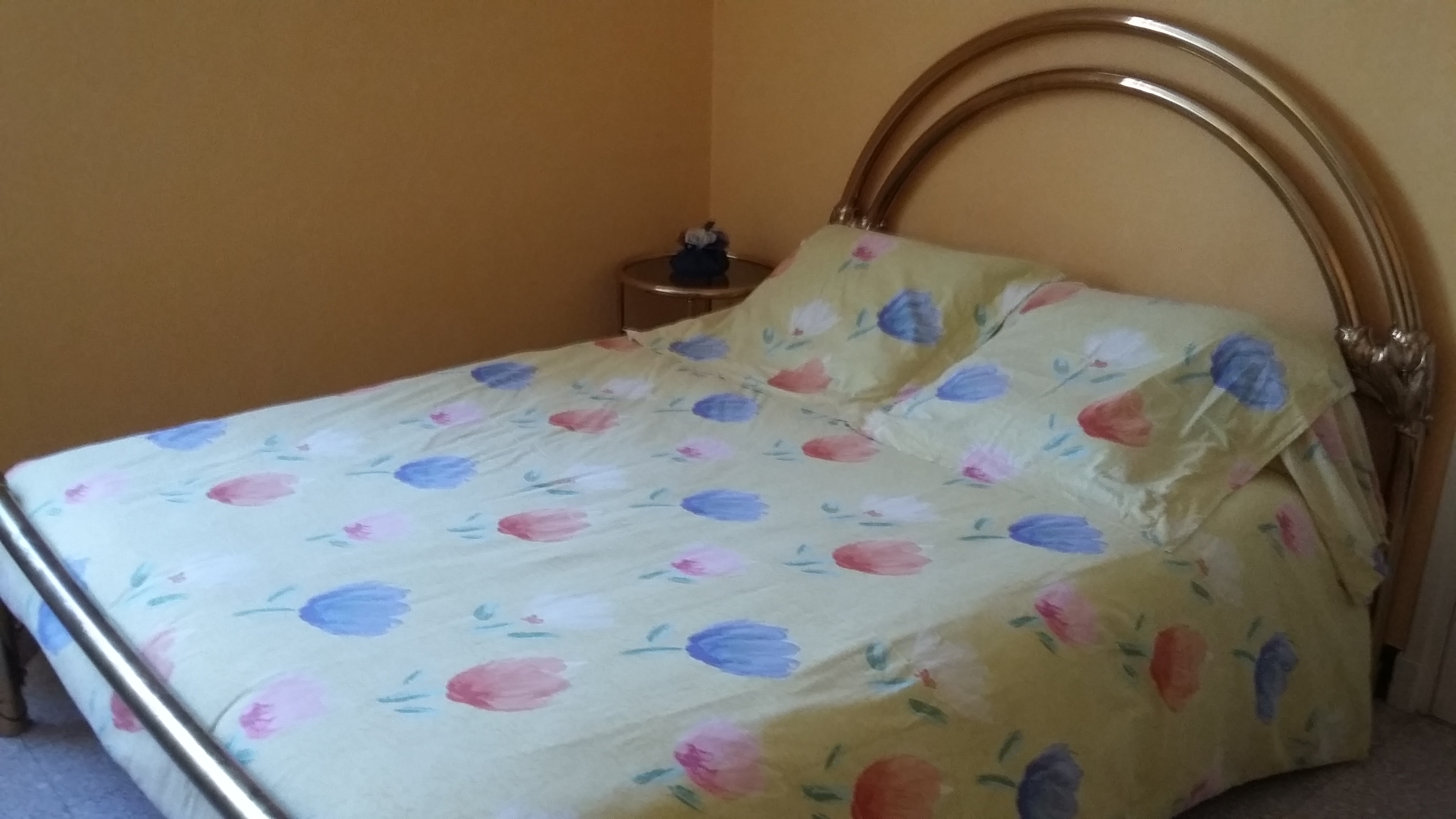 VILLA MONTCALM T2 REZ DE CHAUSSÉE - photo 2