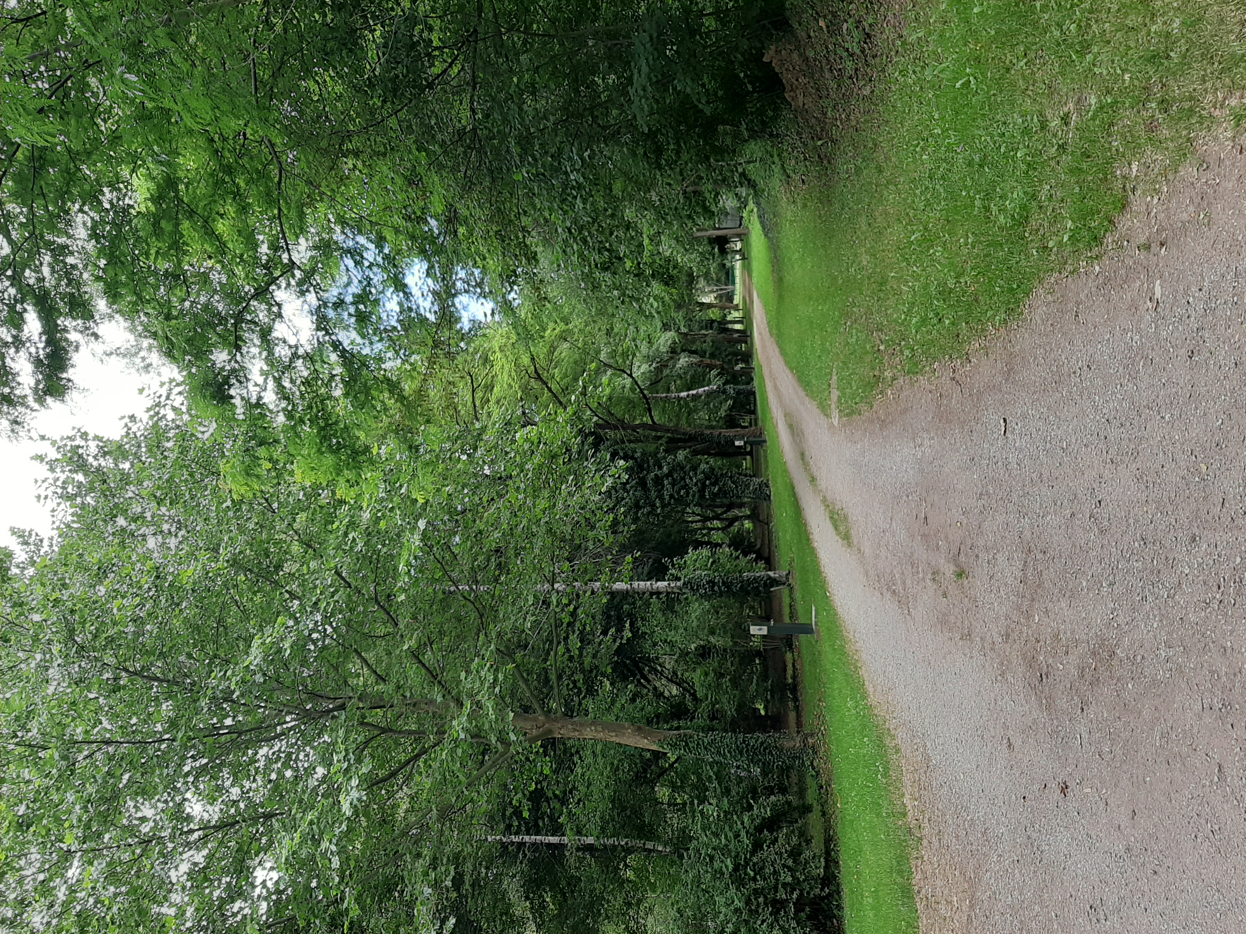 CAMPING DU SOLEIL LEVANT, Bourgs sur Colagne - photo 9